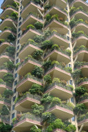 FEATURE - China: Vertikale Gärten in Chengdou