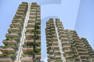 FEATURE - China: Vertikale Gärten in Chengdou