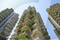 FEATURE - China: Vertikale Gärten in Chengdou