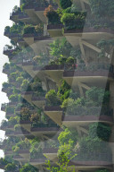 FEATURE - China: Vertikale Gärten in Chengdou