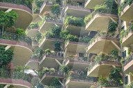 FEATURE - China: Vertikale Gärten in Chengdou
