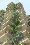 FEATURE - China: Vertikale Gärten in Chengdou