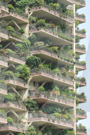 FEATURE - China: Vertikale Gärten in Chengdou