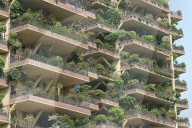 FEATURE - China: Vertikale Gärten in Chengdou