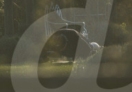 Boris Johnson exercising today.