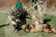 NEWS - Ukrainische Grenzschützer patrouillieren an der Grenze zu Ungarn in der Region Zakarpattia