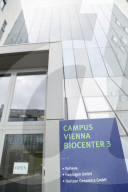 NEWS - Coronavirus: Valneva meldet positive Daten aus klinischer Studie mit Impfstoff