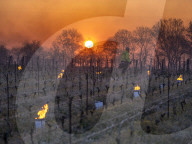 Anti-Frost Candles In The Vines - Monnieres