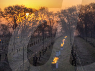 Anti-Frost Candles In The Vines - Monnieres