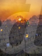 Anti-Frost Candles In The Vines - Monnieres