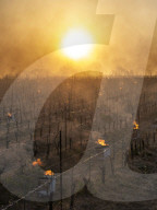 Anti-Frost Candles In The Vines - Monnieres