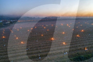 Anti-Frost Candles In The Vines - Monnieres