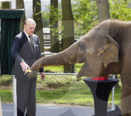 Queen Elizabeth at Wipsnade zoo