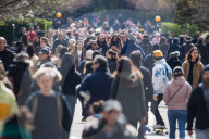 NEWS - Coronavirus: Einwohner Londons spazieren im Regents Park