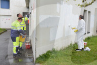 NEWS - Eine Gebetshalle in Rennes wird mit einem Dutzend islamfeindlicher Inschriften beschmiert