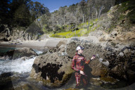 The solution to California’s rampant sea urchin problem is to eat them. I gave it a try
Biologists and chefs are urging people to chow down on the purple sea urchins that are destroying California’s vital kelp forests. Could I catch and cook my own?