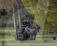 Lady Louise fährt Kutsche am Schloss Windsor