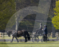 Lady Louise fährt Kutsche am Schloss Windsor
