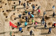 FEATURE - Aufforstung in Zhangye, China 