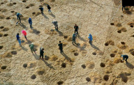 FEATURE - Aufforstung in Zhangye, China 