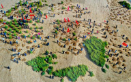 FEATURE - Aufforstung in Zhangye, China 