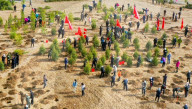 FEATURE - Aufforstung in Zhangye, China 