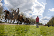 ROYALS - Tod von Prinz Philip: In Windsor wird die Beerdigung geprobt