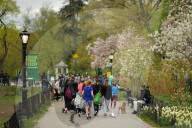 FEATURE -  Frühling im Central Park, New York