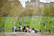 FEATURE -  Frühling im Central Park, New York
