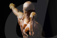 NEWS - Russland: Kaliningrader Meisterschaften in Bodybuilding und Fitness