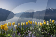 FEATURE - FrÃ¼hling am Genfersee in Montreux