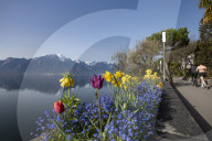 FEATURE - FrÃ¼hling am Genfersee in Montreux