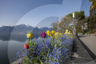 FEATURE - FrÃ¼hling am Genfersee in Montreux