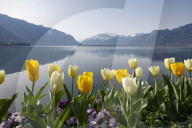 FEATURE - FrÃ¼hling am Genfersee in Montreux