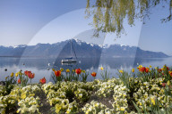 FEATURE - FrÃ¼hling am Genfersee in Montreux
