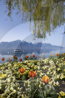 FEATURE - FrÃ¼hling am Genfersee in Montreux