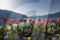 FEATURE - FrÃ¼hling am Genfersee in Montreux