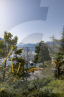 FEATURE - FrÃ¼hling am Genfersee in Montreux