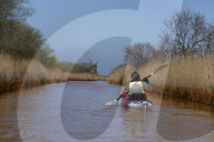 Kayaking on Horsey Mere in Norfolk.


