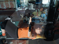 'It’s about quality of life': septuagenarian gym owners keep their peers moving
