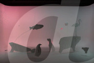 Eco art activists Cooking Sections are highlighting the plight of farmed salmon