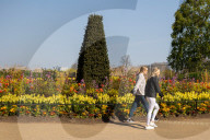 Members of the public enjoy the sunshine in Hyde Park.