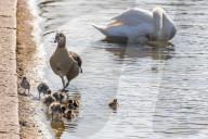 Members of the public enjoy the sunshine in Hyde Park.