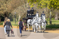 Members of the public enjoy the sunshine in Hyde Park.