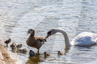 Members of the public enjoy the sunshine in Hyde Park.