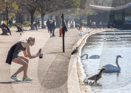 Members of the public enjoy the sunshine in Hyde Park. 