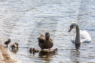 Members of the public enjoy the sunshine in Hyde Park.