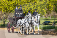 Members of the public enjoy the sunshine in Hyde Park.