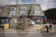 Man, 24, arrested over mass tree felling in Surrey
Police have been hunting suspect for a month, with up to 60 trees having been cut down