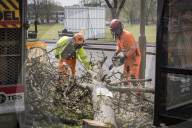 Man, 24, arrested over mass tree felling in Surrey
Police have been hunting suspect for a month, with up to 60 trees having been cut down